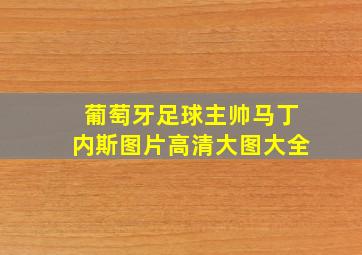 葡萄牙足球主帅马丁内斯图片高清大图大全