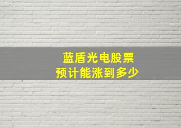 蓝盾光电股票预计能涨到多少