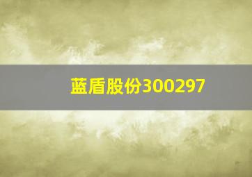 蓝盾股份300297