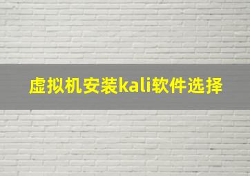 虚拟机安装kali软件选择