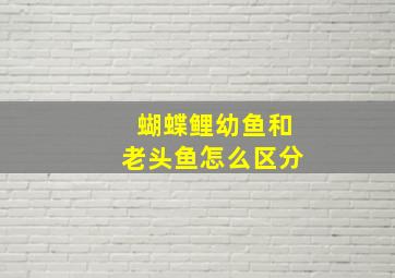 蝴蝶鲤幼鱼和老头鱼怎么区分