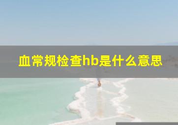 血常规检查hb是什么意思