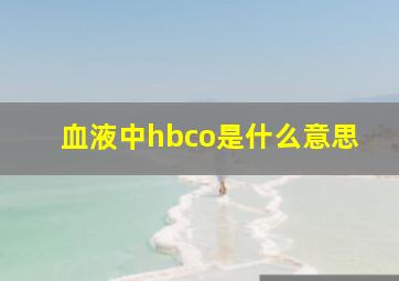 血液中hbco是什么意思