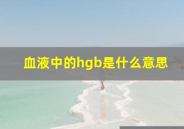 血液中的hgb是什么意思