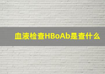 血液检查HBoAb是查什么