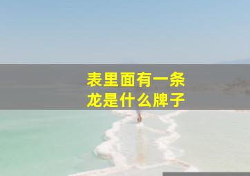 表里面有一条龙是什么牌子