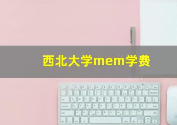 西北大学mem学费