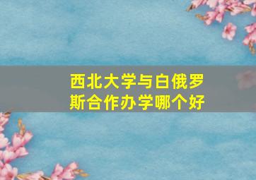 西北大学与白俄罗斯合作办学哪个好