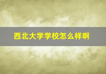 西北大学学校怎么样啊