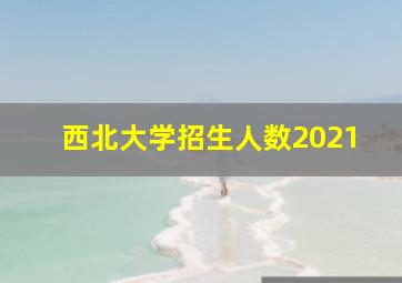 西北大学招生人数2021