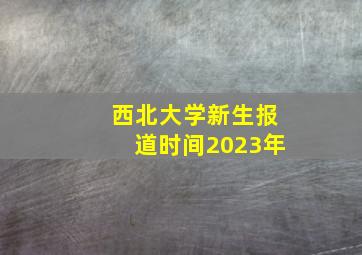 西北大学新生报道时间2023年