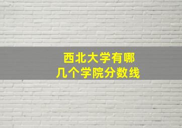 西北大学有哪几个学院分数线