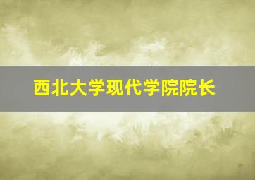 西北大学现代学院院长