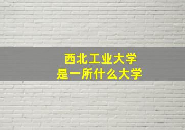 西北工业大学是一所什么大学