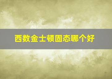 西数金士顿固态哪个好