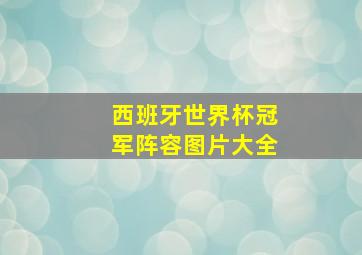 西班牙世界杯冠军阵容图片大全