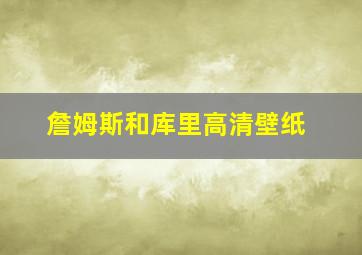 詹姆斯和库里高清壁纸