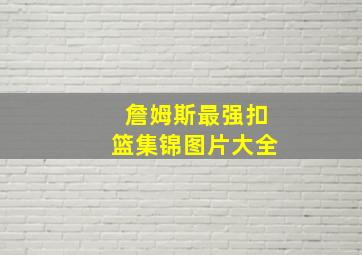 詹姆斯最强扣篮集锦图片大全