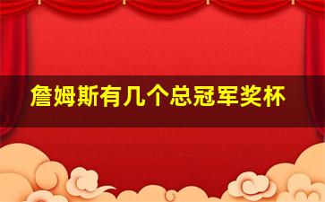 詹姆斯有几个总冠军奖杯