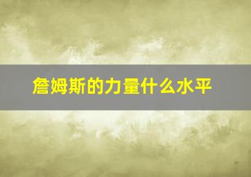 詹姆斯的力量什么水平