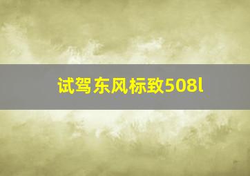 试驾东风标致508l