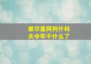 谢尔盖阿列什科夫中年干什么了