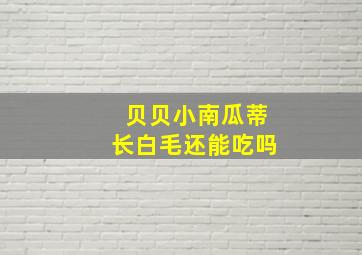 贝贝小南瓜蒂长白毛还能吃吗