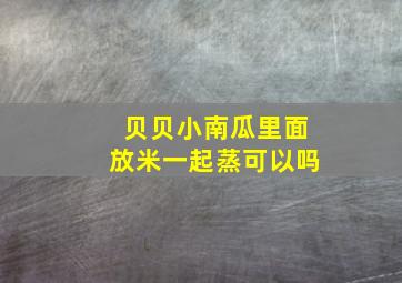 贝贝小南瓜里面放米一起蒸可以吗