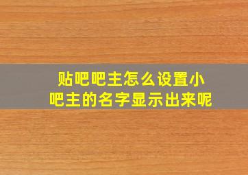 贴吧吧主怎么设置小吧主的名字显示出来呢