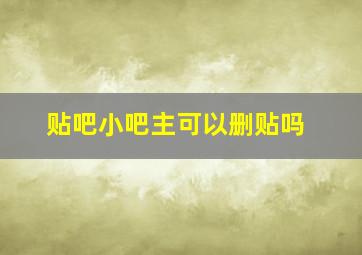 贴吧小吧主可以删贴吗