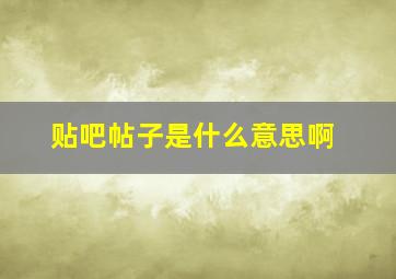 贴吧帖子是什么意思啊