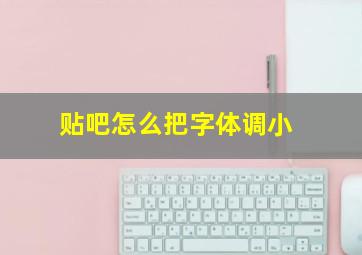 贴吧怎么把字体调小