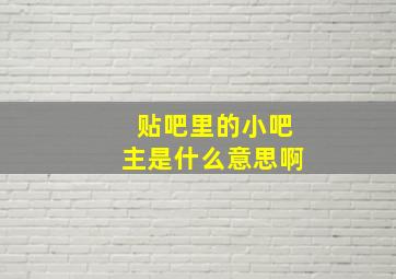 贴吧里的小吧主是什么意思啊