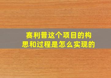 赛利普这个项目的构思和过程是怎么实现的