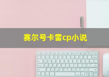 赛尔号卡雷cp小说