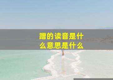 蹭的读音是什么意思是什么