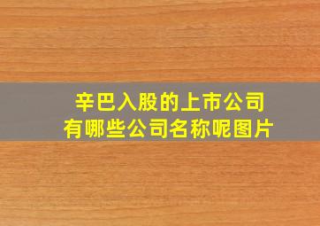 辛巴入股的上市公司有哪些公司名称呢图片