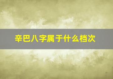 辛巴八字属于什么档次