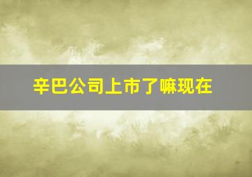 辛巴公司上市了嘛现在