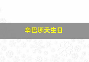 辛巴哪天生日