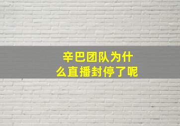 辛巴团队为什么直播封停了呢