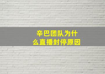 辛巴团队为什么直播封停原因