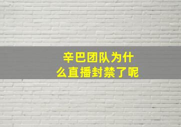 辛巴团队为什么直播封禁了呢