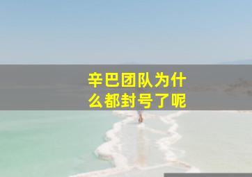 辛巴团队为什么都封号了呢