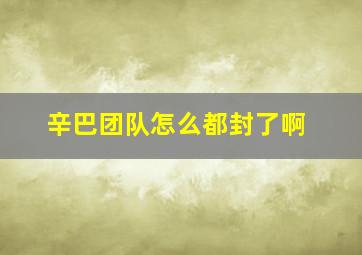 辛巴团队怎么都封了啊