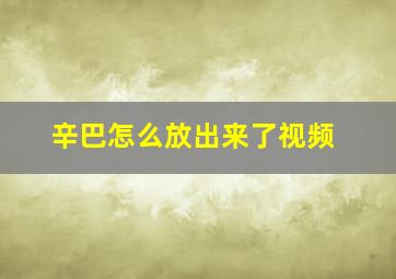 辛巴怎么放出来了视频