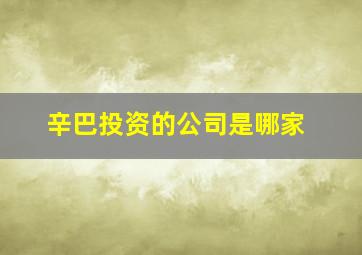 辛巴投资的公司是哪家