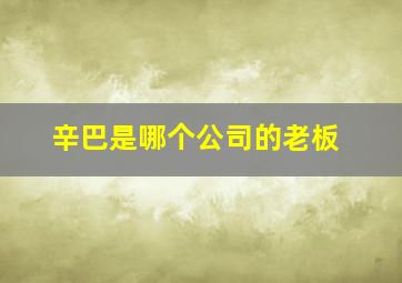 辛巴是哪个公司的老板