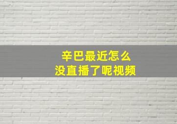 辛巴最近怎么没直播了呢视频