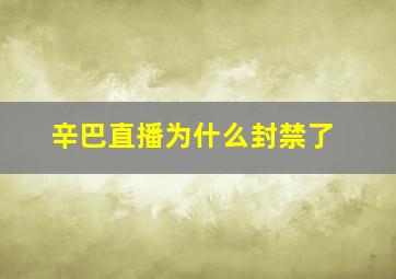 辛巴直播为什么封禁了